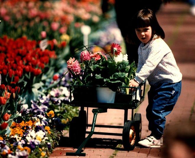 Caitlin Novak, 3, pulls a wagon of Easter flowers at Richardsons near Newark in 1995.