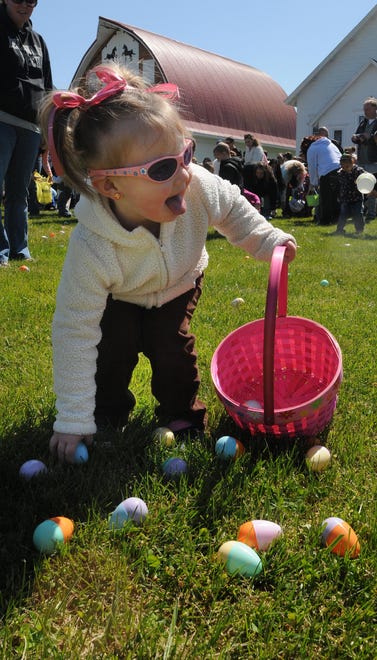 Lina Savage gathers eggs in an Easter egg hunt at the Marvel Carriage Museum in Georgetown in 2013.
