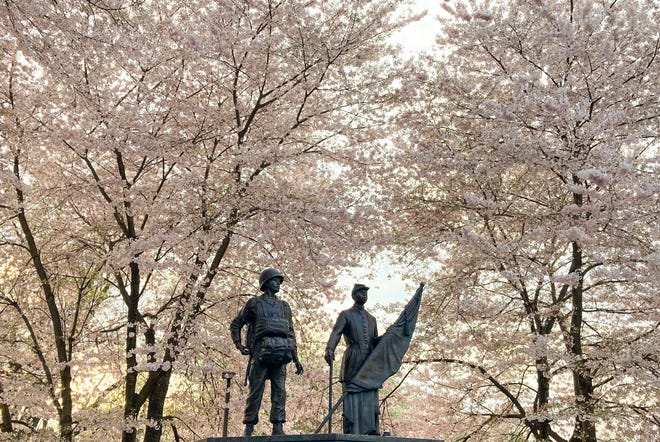 Cherry trees make a vivid frame the African American Medal of Honor Recipients Memorial in Brandywine Park, Wednesday, April 5, 2023.